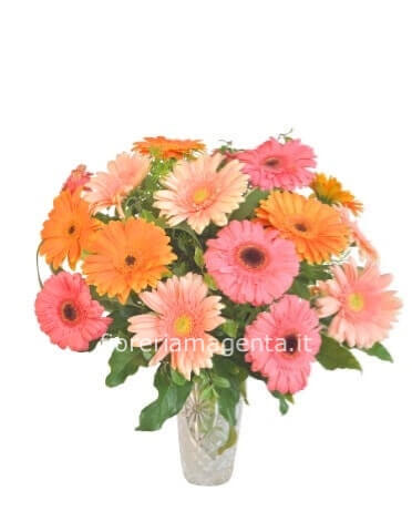Bellissimo Bouquet di gerbere colori assortiti con verdi selezionati per le vostre ricorrenze
